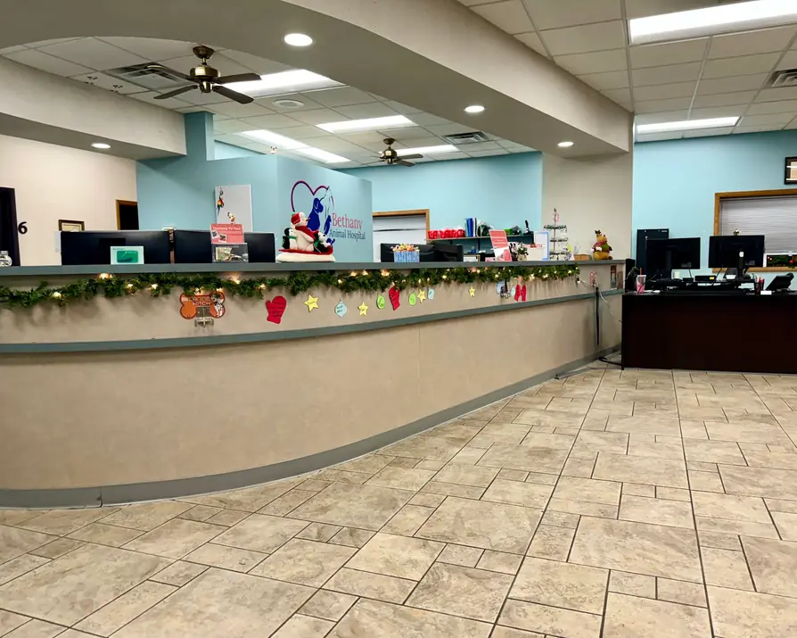 The front desk and reception area at Bethany Animal Hospital in Sycamore, Illinois
